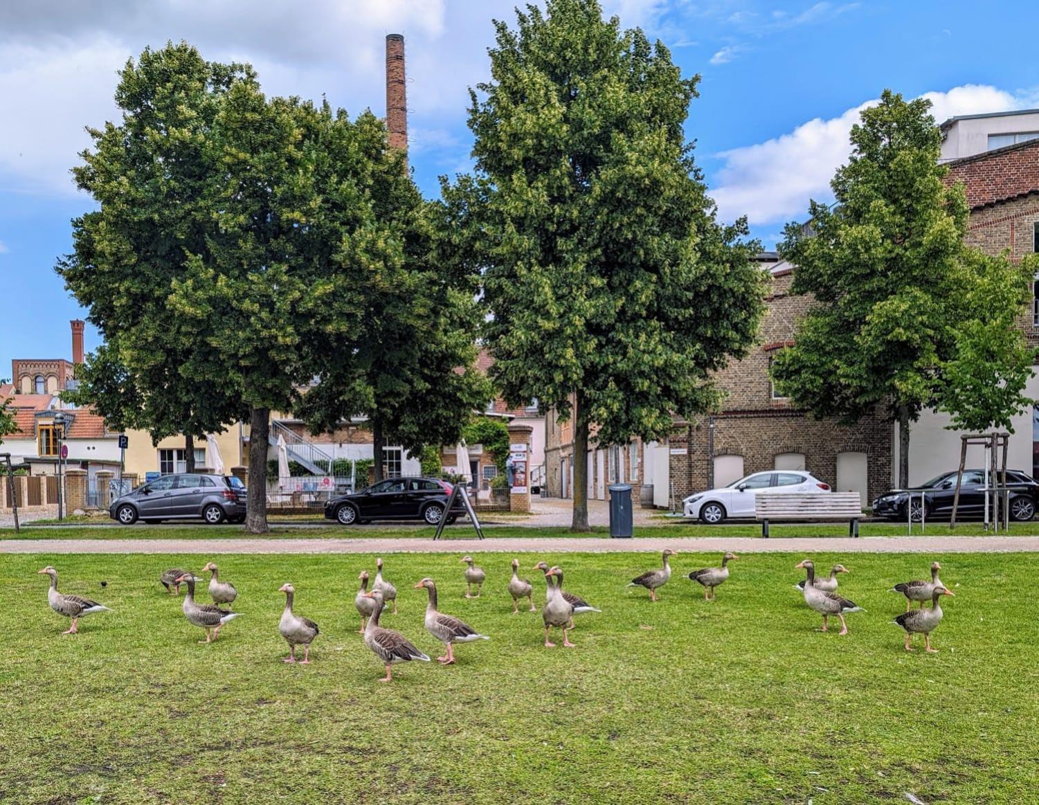 Lendelhaus & Historische Saftfabrik Werder Daire Werder  Dış mekan fotoğraf